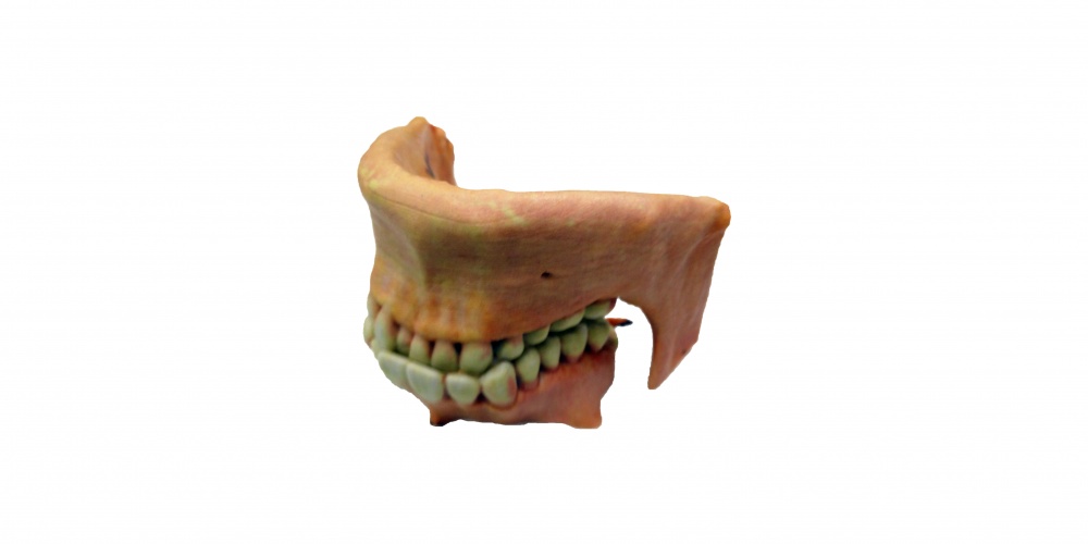 Công nghệ in 3D đa sắc màu phát triển mạnh mẽ, những sản phẩm in đa sắc màu dần tiến đến sự hoàn hảo mà người dùng mong muốn.