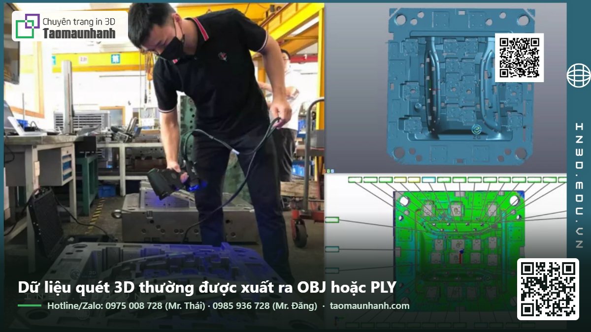 Dữ liệu quét 3D thường được xuất ra OBJ hoặc PLY