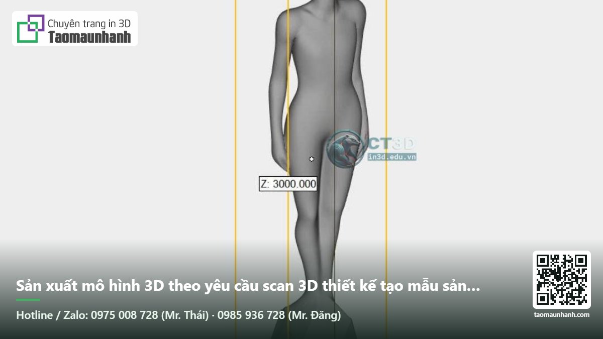 Sản xuất mô hình 3D theo yêu cầu scan 3D thiết kế tạo mẫu sản xuất tượng poly resin poly stone theo yêu cầu CT3D TPHCM ha noi da nang binh duong dong nai ba ria vung tau - Tạo Mẫu Nhanh