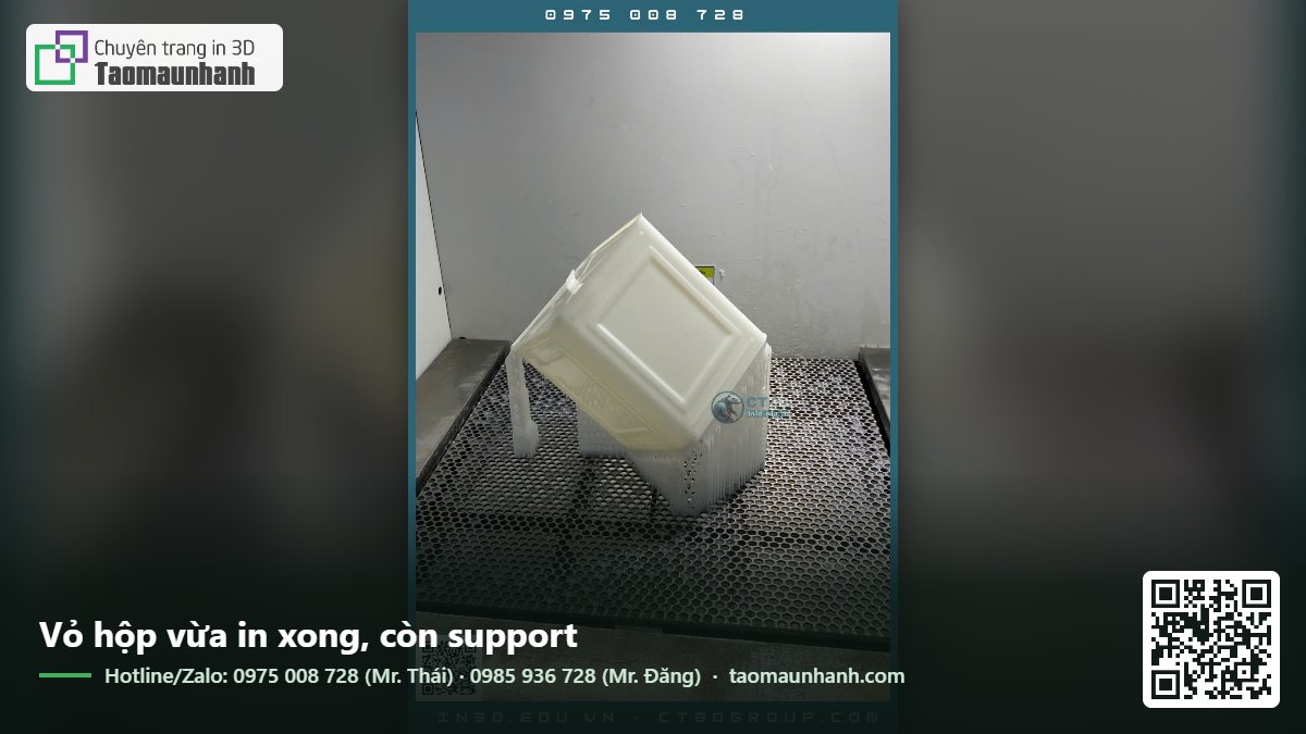 Vỏ hộp vừa in xong, còn support