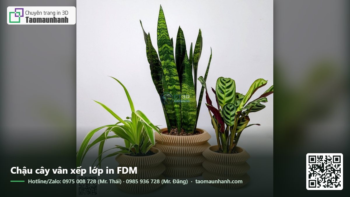 Chậu cây vân xếp lớp in FDM