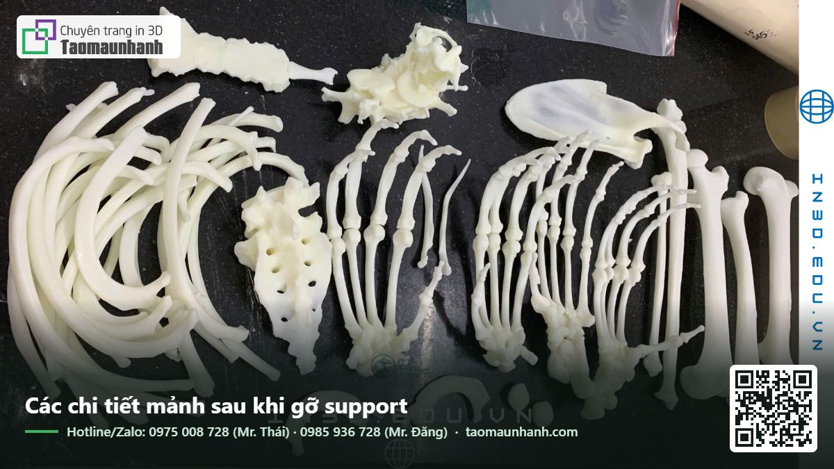 Các chi tiết mảnh sau khi gỡ support