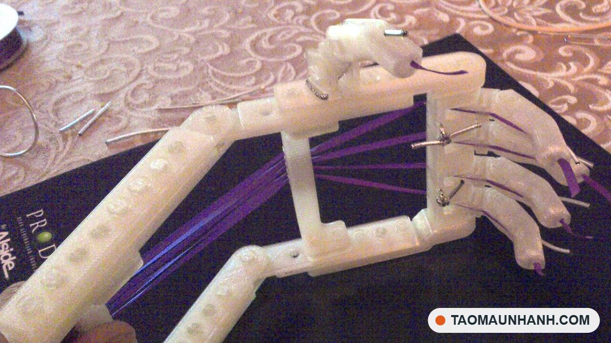 Mẫu thử bàn tay in 3D